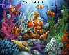 Find'in Nemo