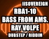 Bass From Amsterdam RayV