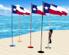 Texas blue Flag