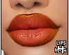 Fran | Lip - Spice