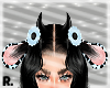 ᖇ. Blue Cow Ear