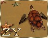 ZY: Turtles and Starfish