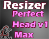 LK Resizer Head Max 1