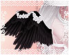 Rose Angel Wings |BW2