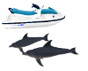 jetski with dolphins
