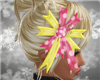 Dp Minimae Bow