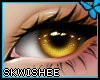🦋| Ashlie Eyes L