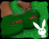 $ Christmas Slippers e
