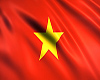 AK! Flag Vietnam