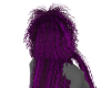Purple Striped Delia