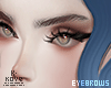 !< Brows Toddy!