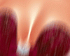 NK Sexy Heart Gala Red