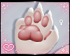 .ˋ✧ Furry Paws ✧ˊ.