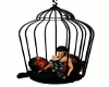 ! Vampire Cage Chair.
