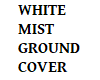 BR)WHITE MIST GROUND COV