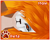 [Pets] Saber | hair v5
