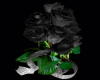 rosess