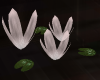 [CI]Serenity Pond Lily