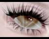 DW. Doll Eyelashes