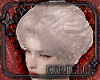 Enchanted Veil Hair v1