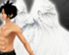Animated Angel Wings