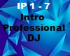 Intro Professional DJ