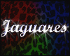 Jaguares Badge