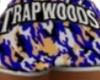 trapwoodz shorts