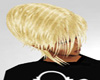 Platinum Blonde::HAIR