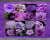 Purple roses wall pic