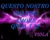 QUESTO NOSTR GRAND AMORE