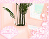 ♔ Furn ♥ Plant
