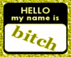 HELLO MY NAME IS*