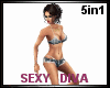 NL2-Sexy Diva Dances