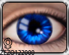 [Z] Sapphire Blue Eyes F