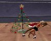 Christmas Tree Kiss