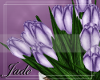 BabyShower Tulips Purple