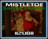 MISTLETOE Santa FRAME