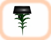 Black PVC Wall Lamp