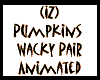 (IZ) Pumpkins Wacky Pair
