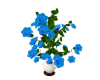 Animated Roses in Vase