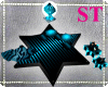 [ST]D/B Star Bed