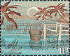 Bundle Beach Summer Love