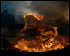 Fire horse:)