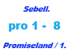 Sebell / Promiseland