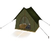 Green tent with bed