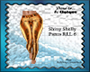 Shiny Shelly Pants RLL 6