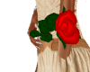 Rose Red Fuchsia Single