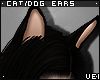 v. Cat/Dog Ears: Coal