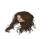{B}Jocelyn Brown Hair -F